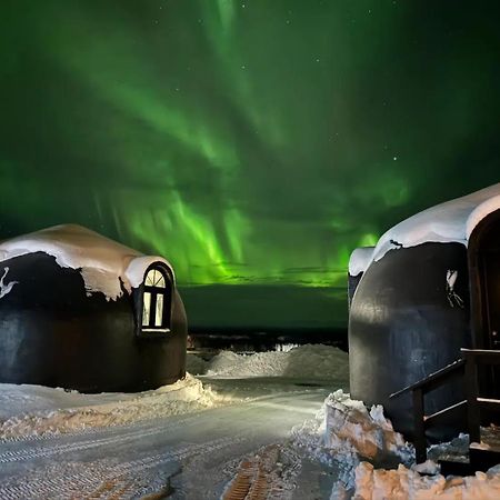 Talkeetna Aerie Adventure Lodge 外观 照片