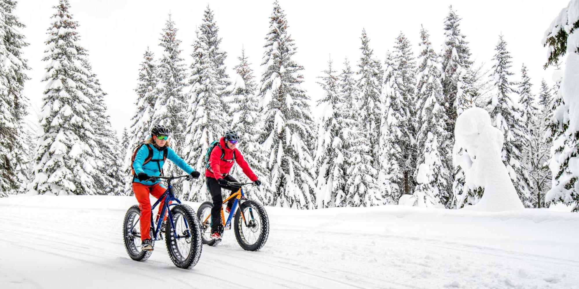 Talkeetna Aerie Adventure Lodge 外观 照片