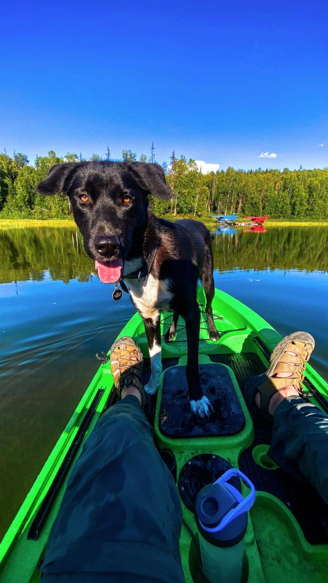 Talkeetna Aerie Adventure Lodge 外观 照片